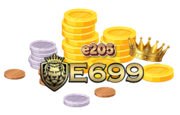 e205 e699-Logo